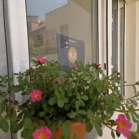 Siana House 2* Равда