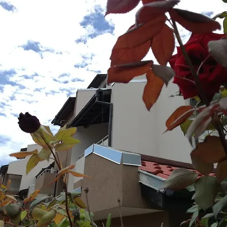 招待所 Siana House 拉夫达