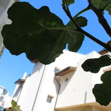 Къща за гости Siana House