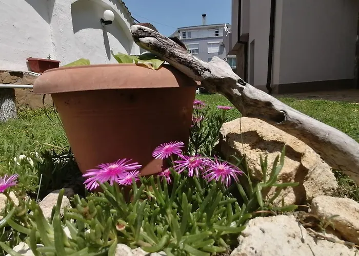 Siana House Πανσιόν