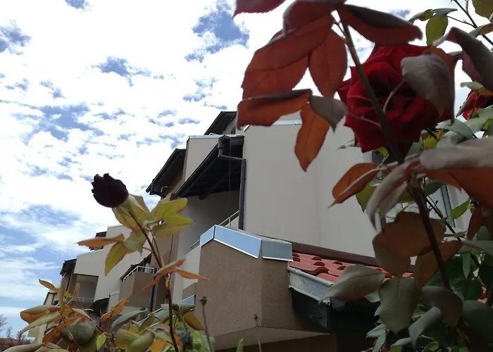 Πανσιόν Siana House Ράβντα