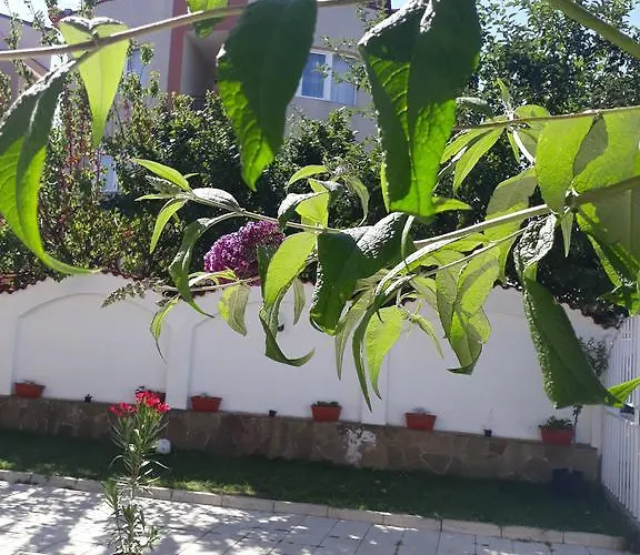 Πανσιόν Siana House Ράβντα